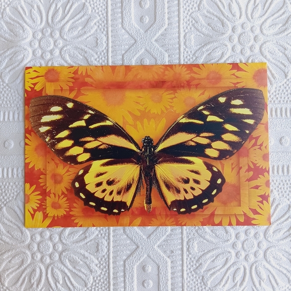 Butterly Stationery Cards 8 ct - Picture 13 of 16